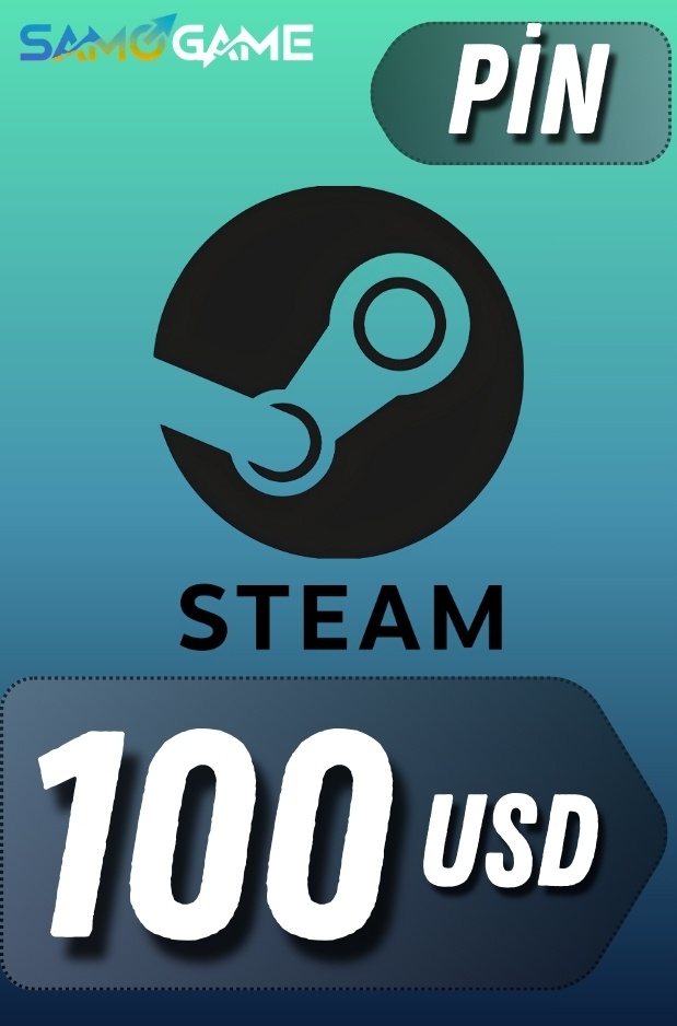 STEAM - 100 USD (Pin)
