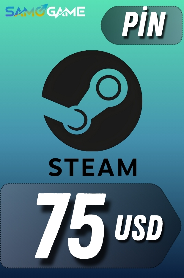 STEAM - 75 USD (Pin)