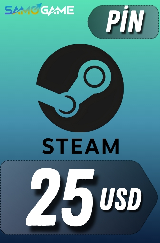 STEAM - 25 USD (Pin)