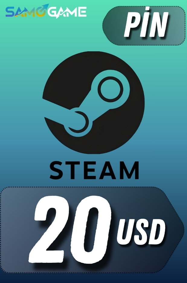 STEAM - 20 USD (Pin)